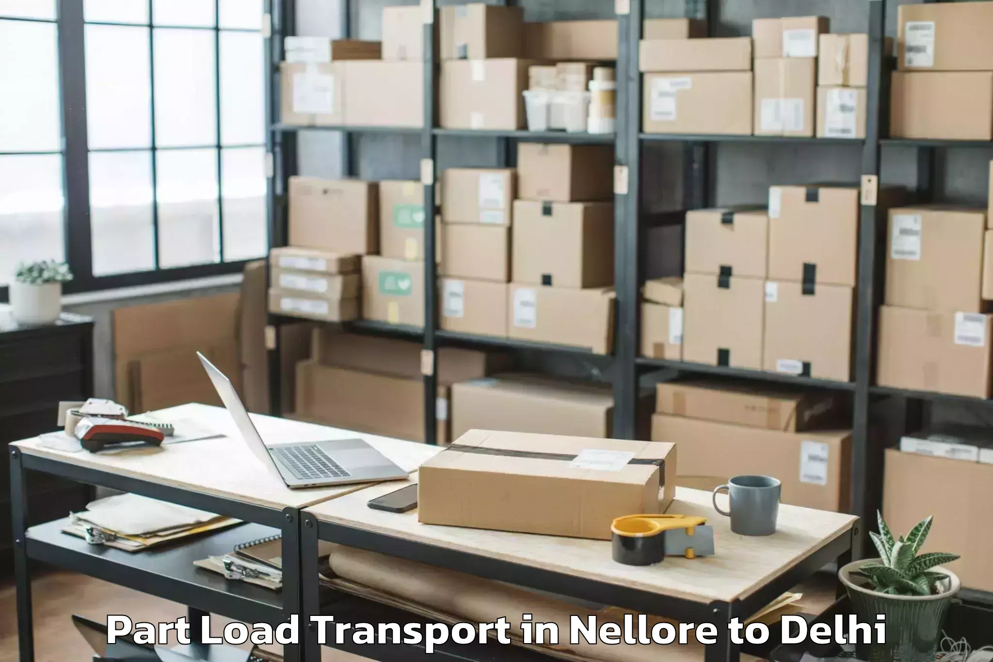 Professional Nellore to Naraina Industrial Estate Part Load Transport